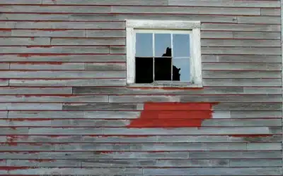 Does Renters Insurance Cover Broken Windows?
