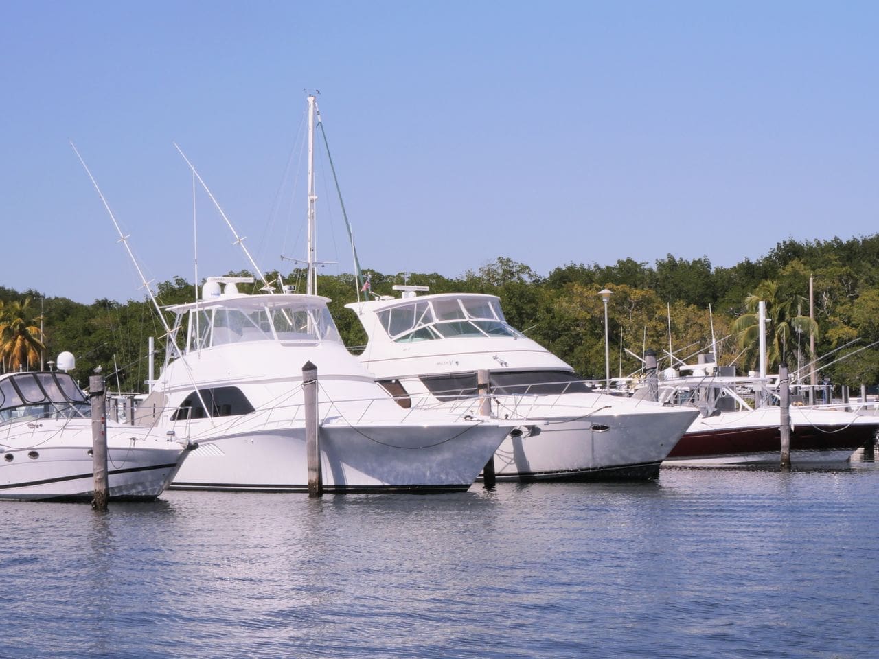 How Much Does Boat Insurance Cost in Arkansas?